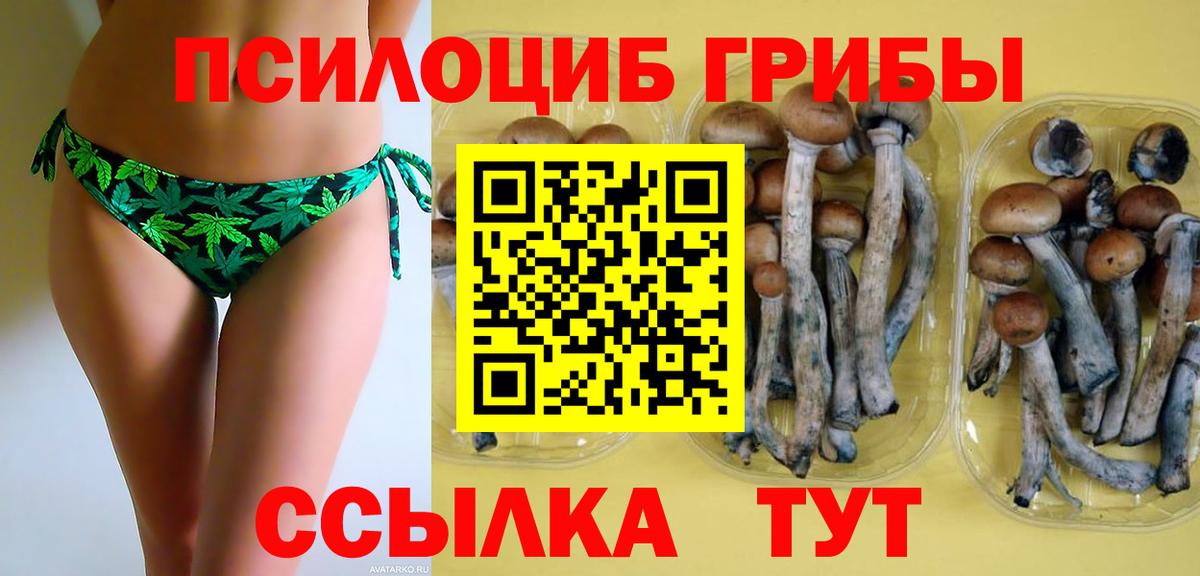 Павловский Посад  Галлюциногенные грибы Magic Shrooms  Вход с VPN 